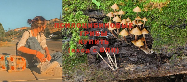 ALPHA PVP Баксан