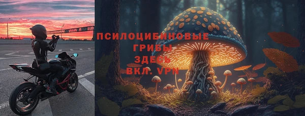 Альфа ПВП Арсеньев